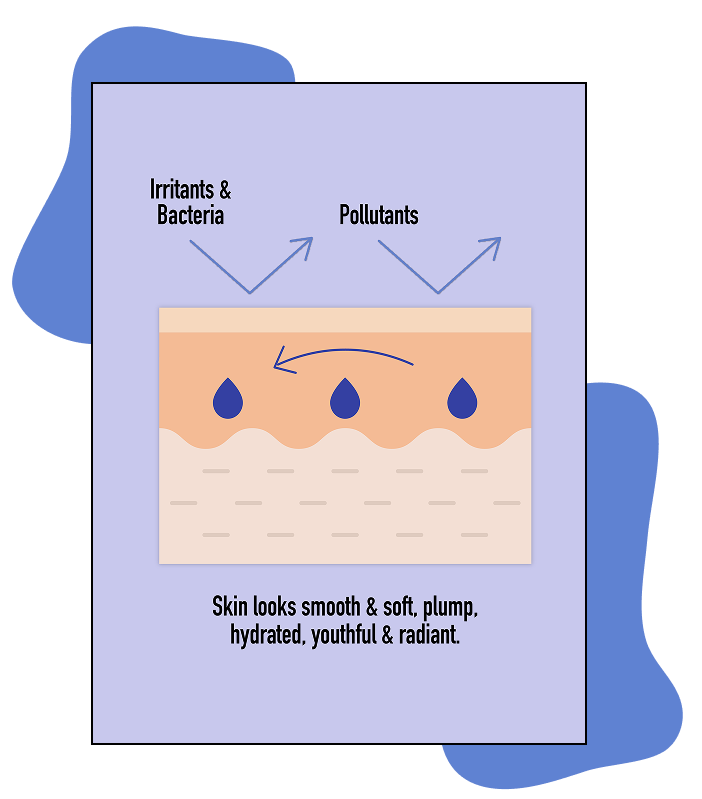 Graphic showing a healthy skin barrier, keeping irritants & bacteria, as well as pollutants out, making for hydrated, youthful and radiant skin.