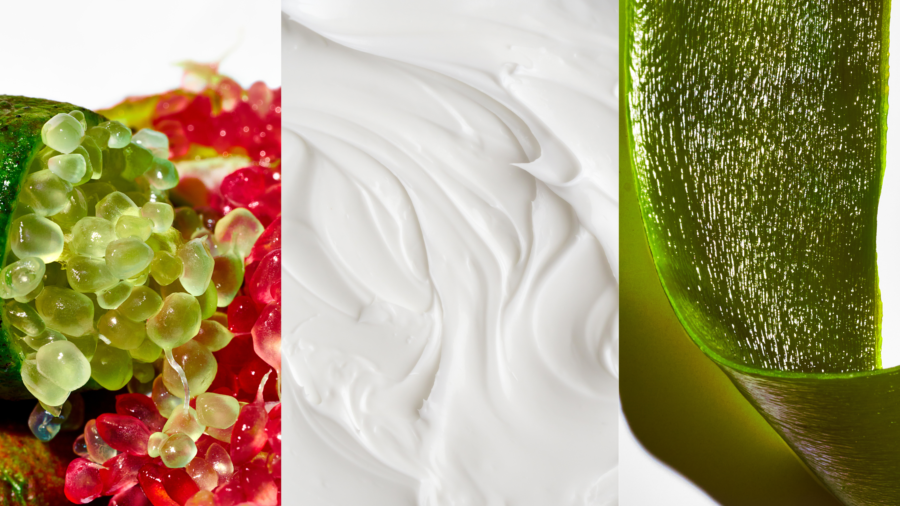 Ingredient Story: Golden Seaweed, Caviar Lime Extract, Aloe Vera