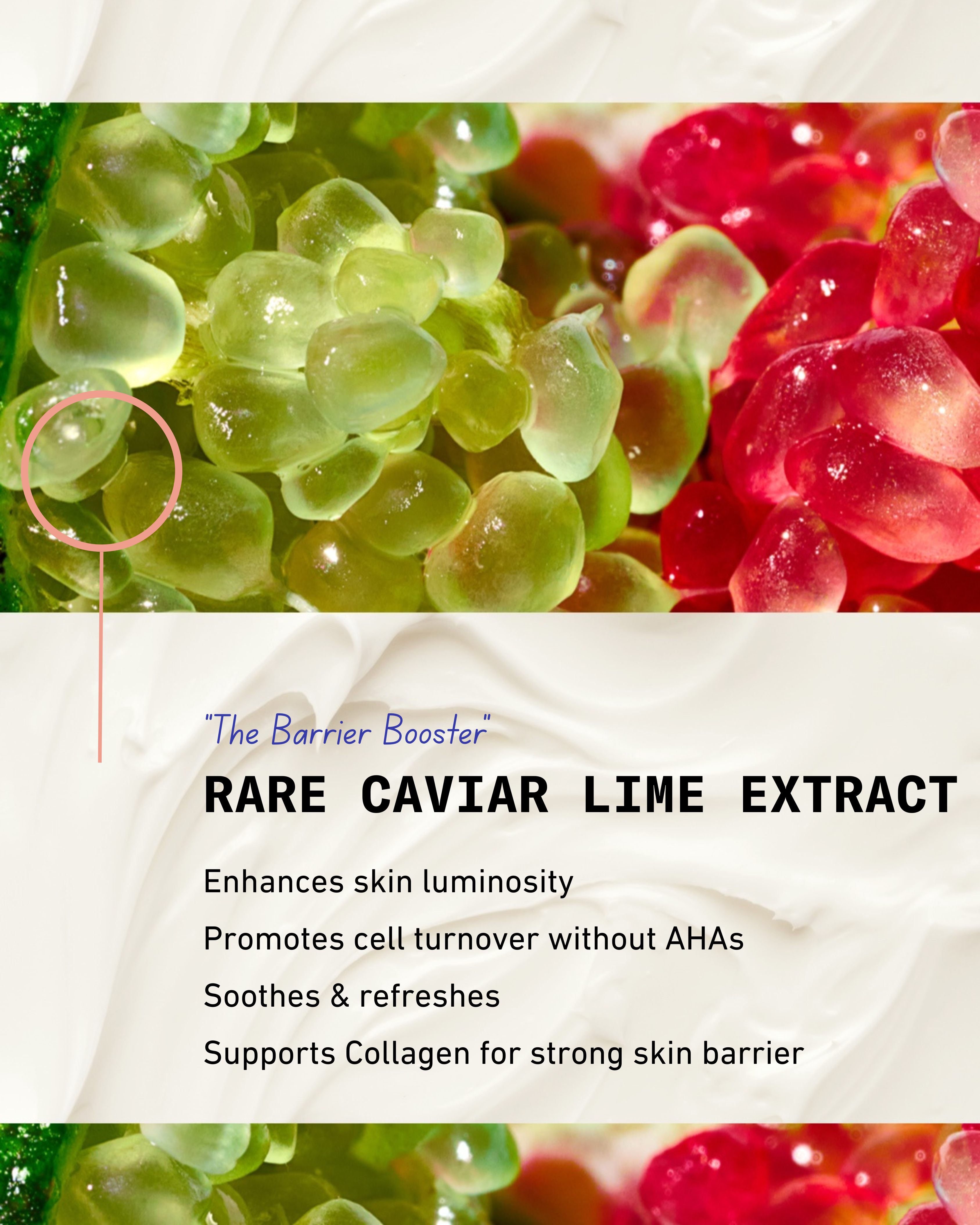 Skin Barrier Rescue & Repair Daily Moisturizer - Face & Body