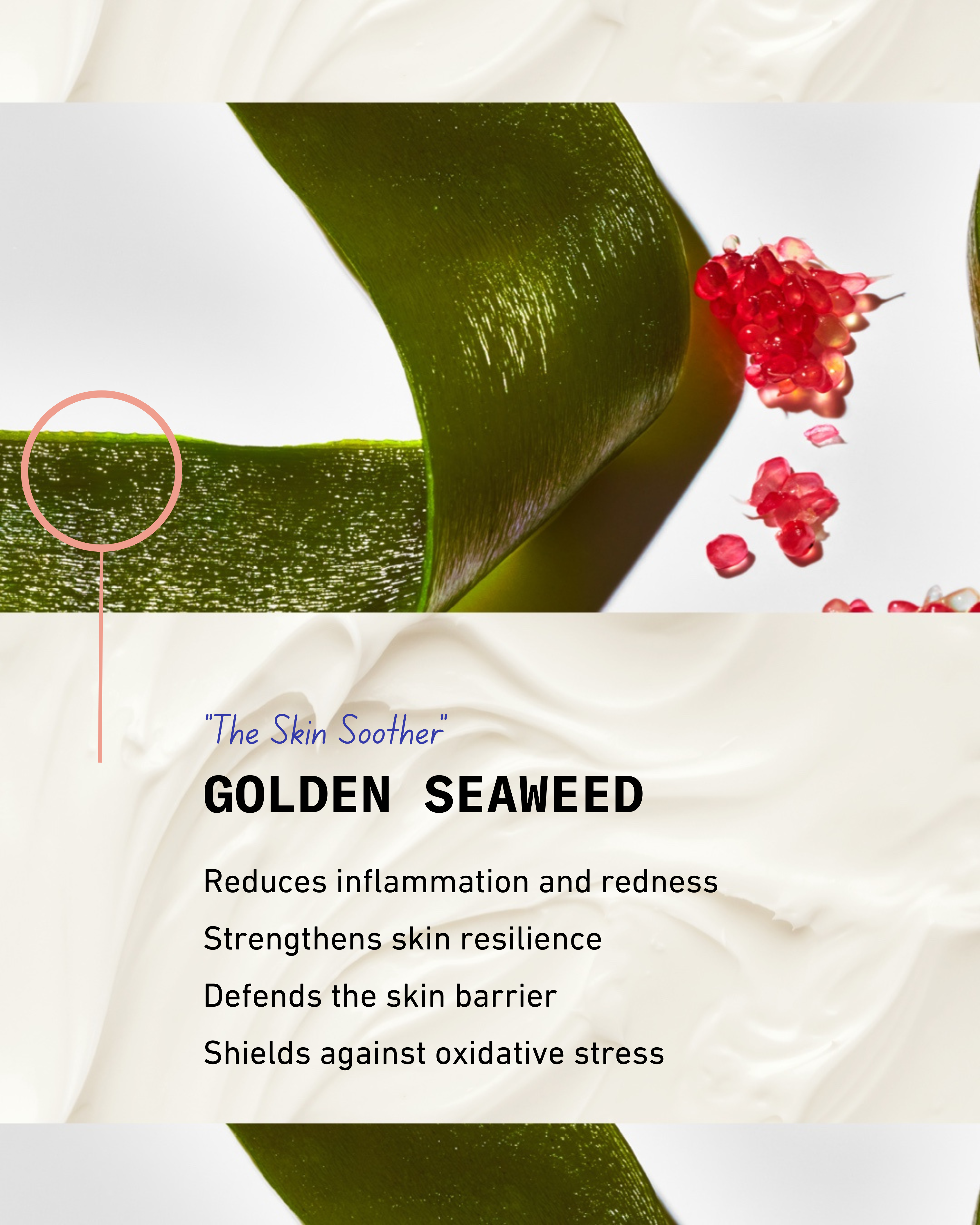 Skin Barrier Rescue & Repair Daily Moisturizer - Face & Body